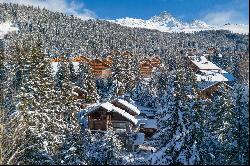 Chalet for rental in Meribel