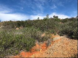 Experience the Beauty & Views of Wildcat Canyon