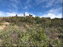 Experience the Beauty & Views of Wildcat Canyon