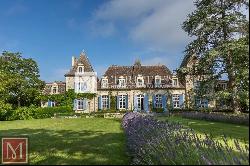 Stunning chateau with beautiful park and outbuildings