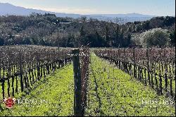 WINERY FOR SALE IN MONTALCINO, 3 HECTARES OF BRUNELLO VINEYARDS