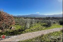 WINERY FOR SALE IN MONTALCINO, 3 HECTARES OF BRUNELLO VINEYARDS