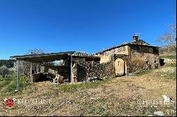 WINERY FOR SALE IN MONTALCINO, 3 HECTARES OF BRUNELLO VINEYARDS