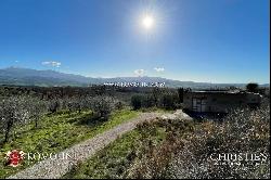 Tuscany - WINERY FOR SALE IN MONTALCINO, 3 HECTARES OF BRUNELLO VINEYARDS
