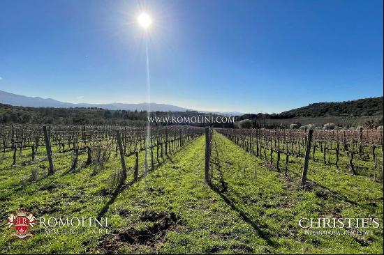 WINERY FOR SALE IN MONTALCINO, 3 HECTARES OF BRUNELLO VINEYARDS