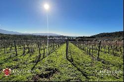 WINERY FOR SALE IN MONTALCINO, 3 HECTARES OF BRUNELLO VINEYARDS