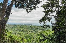 Cahuita Ocean and Jungle View Farm / Development (20ha)