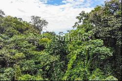 Cahuita Ocean and Jungle View Farm / Development (20ha)