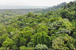 Cahuita Ocean and Jungle View Farm / Development (20ha)