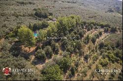 MODERN VILLA WITH OLIVE GROVE FOR SALE UMBRIA ASSISI