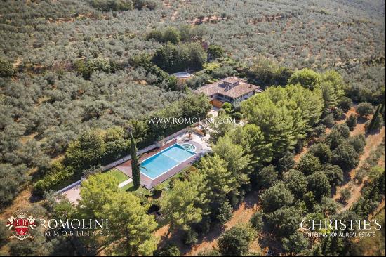 MODERN VILLA WITH OLIVE GROVE FOR SALE UMBRIA ASSISI