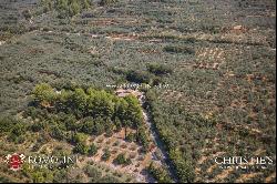 MODERN VILLA WITH OLIVE GROVE FOR SALE UMBRIA ASSISI