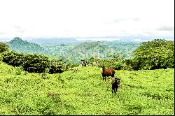 La Guaria Ranch in Monteverde