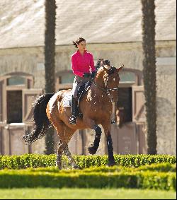 Hus Stud Farm and Castle