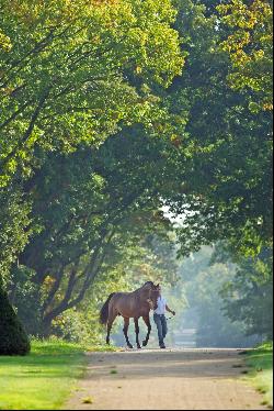 Hus Stud Farm and Castle