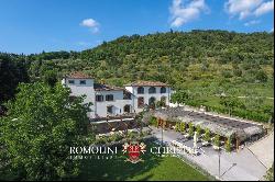 PRIVATE ESTATE WITH RENTAL BUSINESS AND FARM FOR SALE TUSCANY