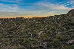 Nighthawk on Black Mountain