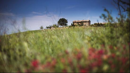 Private Villa for sale in Pienza (Italy)