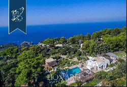 Villa for sale in Capri