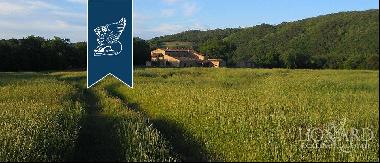 Farmhouse For Sale Tuscany - Agriturismo For Sale Tuscany