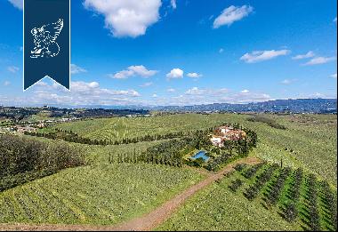 Luxury villa surrounded by the vineyards of Chianti