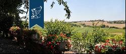 Luxury Villa For Sale Italy - Tuscany Property