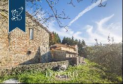 Farmstead with swimming pool for sale in Florence