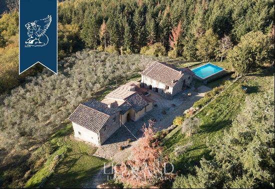 Farmstead with swimming pool for sale in Florence