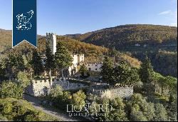 Castle for sale near Florence