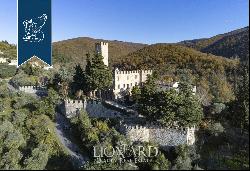 Castle for sale near Florence