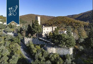 Castle for sale near Florence