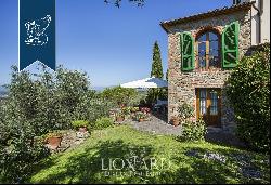 Villa with pool and olive grove for sale in Tuscany