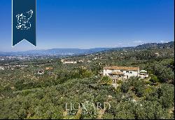 Villa with pool and olive grove for sale in Tuscany