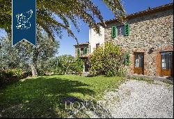 Villa with pool and olive grove for sale in Tuscany