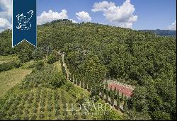 Luxurious country home for sale in the Mugello area