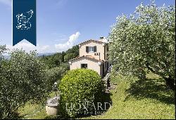 Luxury villa with swimming pool near Sarzana's coast