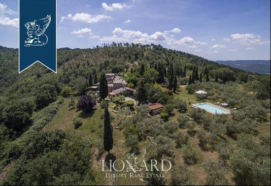 Farmhouse for sale in Chianti