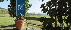 Villa in Tuscany - Italian Proeprties For Sale