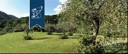 Villa in Tuscany - Italian Proeprties For Sale