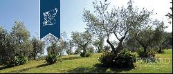 Villa in Tuscany - Italian Proeprties For Sale