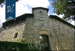Castle for sale in the province of Florence