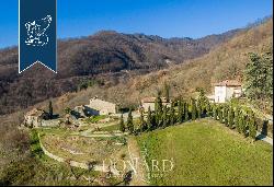 Luxury hamlet for sale near Florence