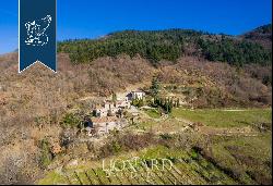 Luxury hamlet for sale near Florence