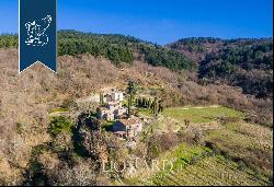 Luxury hamlet for sale near Florence