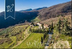 Luxury hamlet for sale near Florence