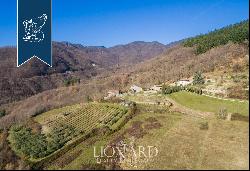 Luxury hamlet for sale near Florence