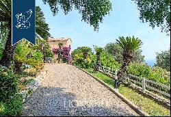 Luxury home with swimming pool and olive grove for sale in Sanremo