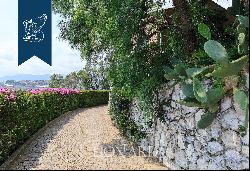 Luxury home with swimming pool and olive grove for sale in Sanremo