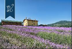 Holiday farm for sale in Emilia Romagna