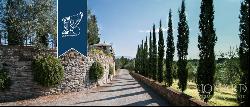 Chianti Villas - Luxury Homes in Tuscany